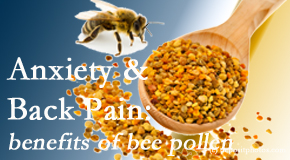 Medical Spine and Sports Injury and Rehab Centers presents info on the benefits of bee pollen on cognitive function that may be impaired when dealing with back pain.