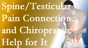 Medical Spine and Sports Injury and Rehab Centers shares recent research on the connection of testicular pain to the spine and how chiropractic care helps its relief.