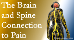 Medical Spine and Sports Injury and Rehab Centers looks at the connection between the brain and spine in back pain patients to better help them find pain relief.