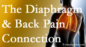 Medical Spine and Sports Injury and Rehab Centers knows the relationship of the diaphragm to the body and spine and back pain. 