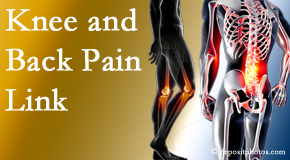 Medical Spine and Sports Injury and Rehab Centers treats back pain and knee osteoarthritis to help avert falls.
