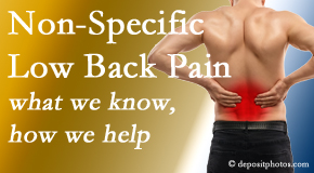 Medical Spine and Sports Injury and Rehab Centers share the specific characteristics and treatment of non-specific low back pain. 