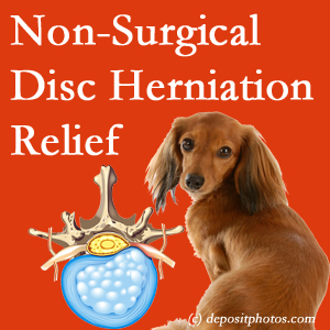 Often, the Baton Rouge disc herniation treatment at Medical Spine and Sports Injury and Rehab Centers effectively reduces back pain for those with disc herniation. (Veterinarians treat dachshunds’ discs conservatively, too!) 