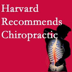 Medical Spine and Sports Injury and Rehab Centers offers chiropractic care like Harvard recommends.