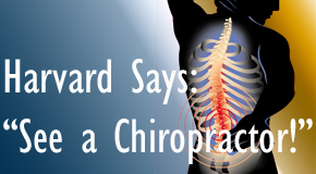 Baton Rouge chiropractic for back pain relief urged by Harvard