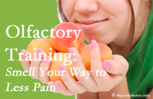 Chronic Baton Rouge back pain may be helped by olfactory training which uses smelling scents to desensitize the sufferer to the pain.