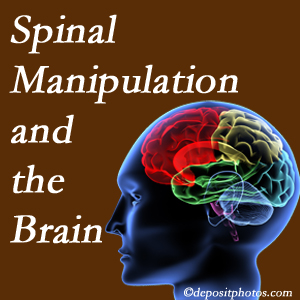 Medical Spine and Sports Injury and Rehab Centers [shares research on the benefits of spinal manipulation for brain function. 