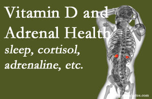 Medical Spine and Sports Injury and Rehab Centers shares new research about the effect of vitamin D on adrenal health and function.