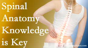 Spine & Sports Rehab Center knows spinal anatomy well – a benefit to everyday chiropractic practice!