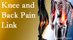 Spine & Sports Rehab Center treats back pain and knee osteoarthritis to help avert falls.