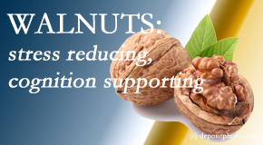 Spine & Sports Rehab Center shares a picture of a walnut which is said to be good for the gut and lower stress.