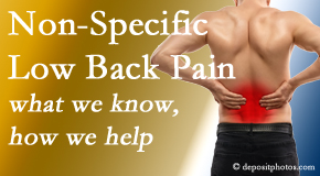 Medical Spine and Sports Injury and Rehab Centers share the specific characteristics and treatment of non-specific low back pain.