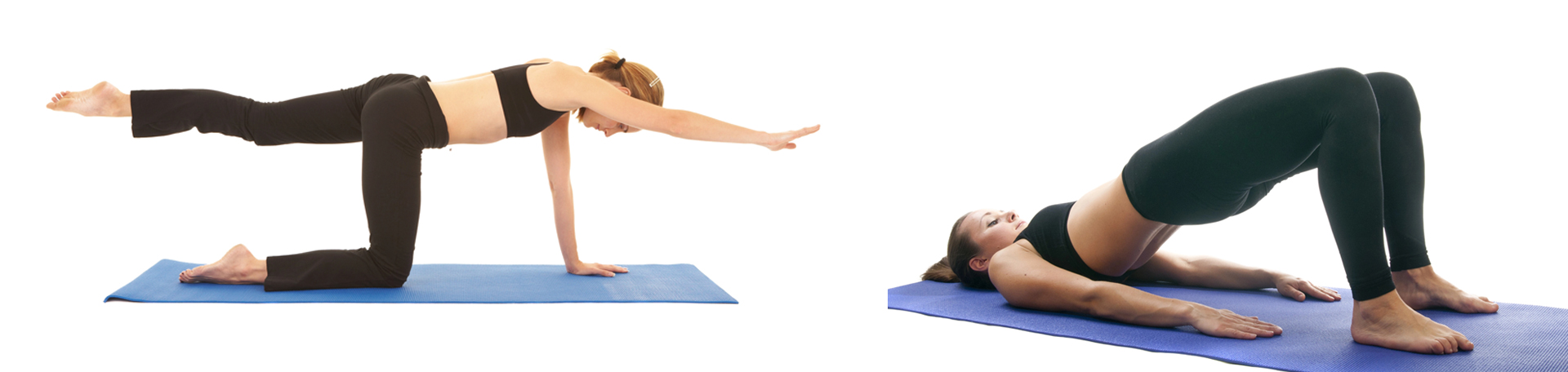 Baton Rouge chiropractic exercise to strengthen multifidus