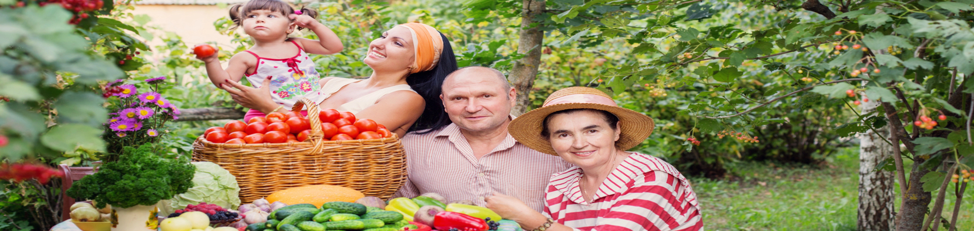 Baton Rouge chiropractic summer health tips