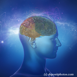 image of a brain for cognition influenced by balance that Baton Rouge chiropractic can help